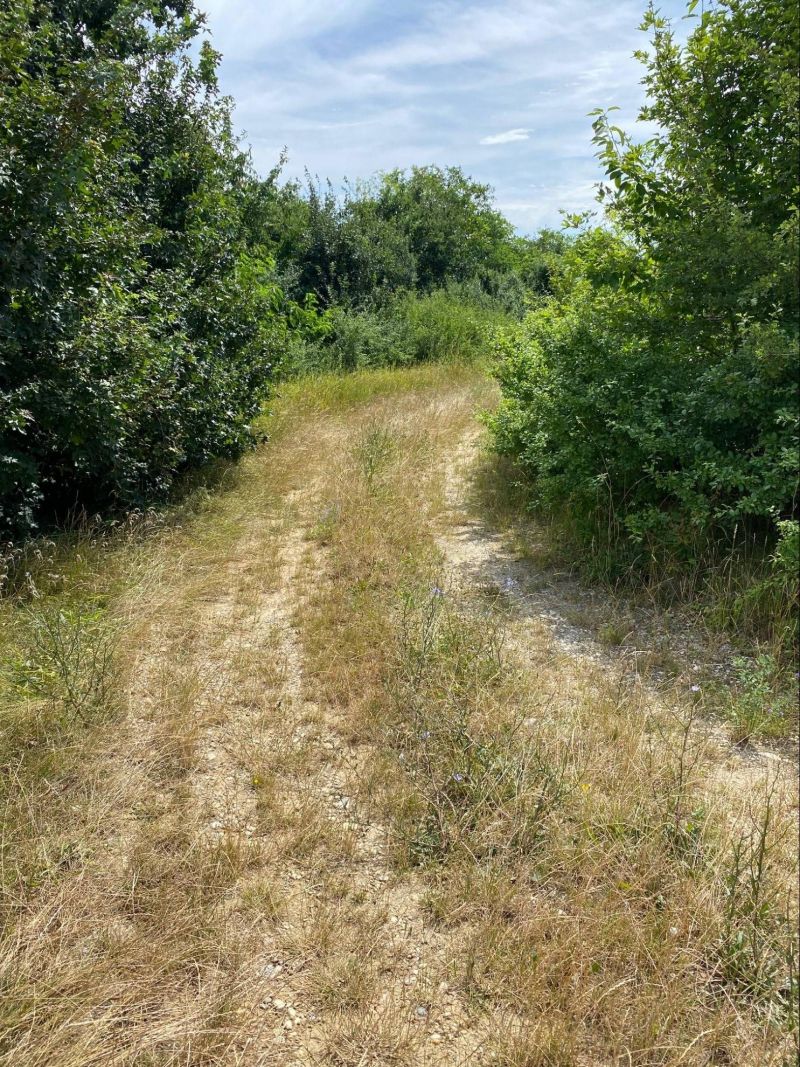 FOX - Ideálny pozemok pre rodinný dom v rozvíjajúcej sa časti obce Budmerice - 5